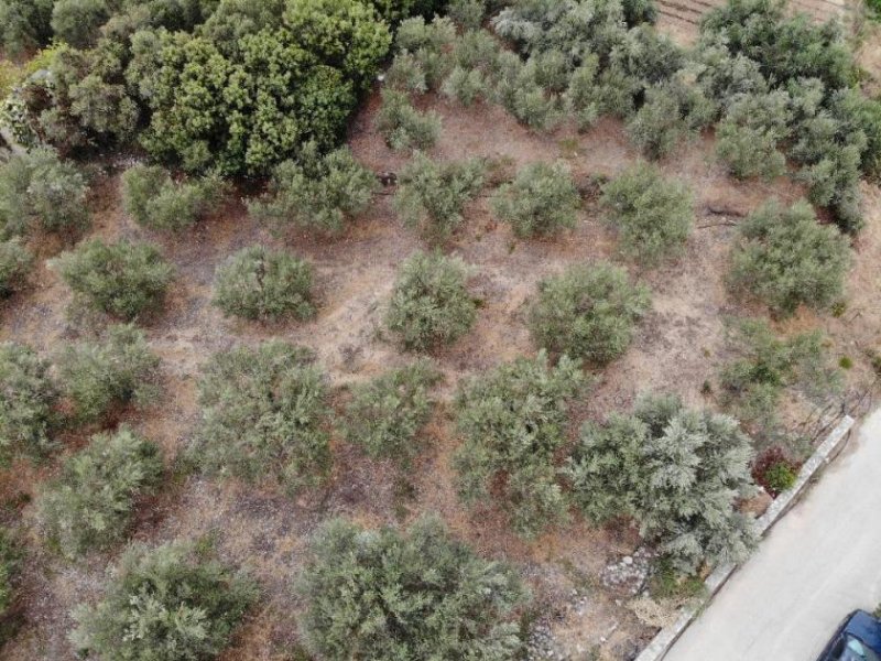 Almyrida Kreta, Almyrida: Grundstück in Strandnähe mit Meerblick zu verkaufen Grundstück kaufen